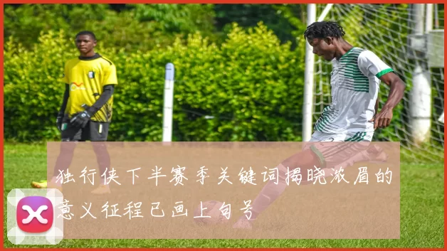 独行侠下半赛季关键词揭晓浓眉的意义征程已画上句号